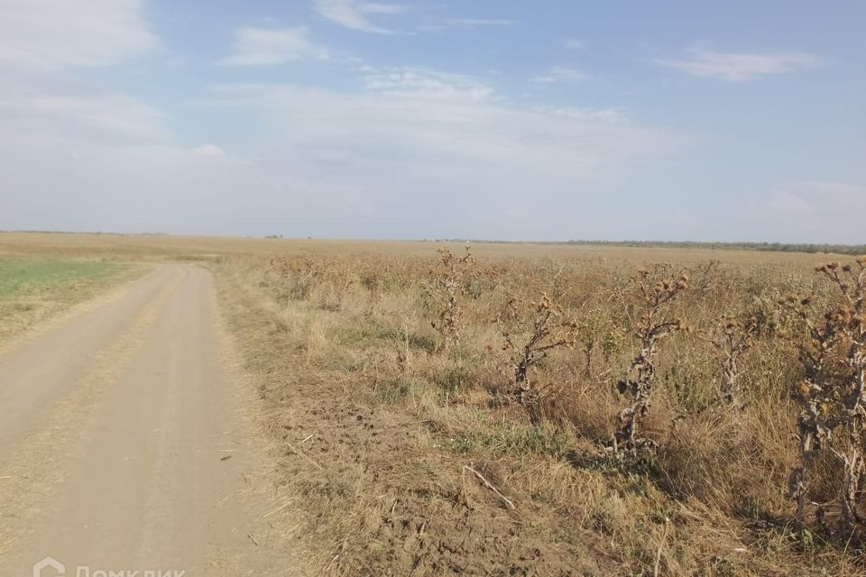 земля р-н Щербиновский ст-ца Новощербиновская ул Ясенская фото 1