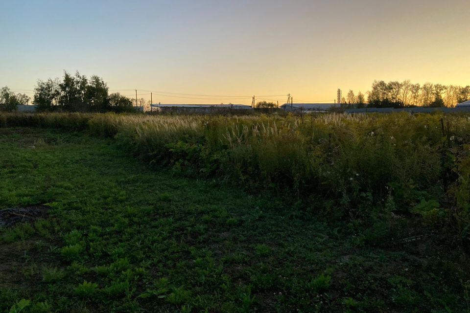 земля Тула городской округ, Архангельское фото 2