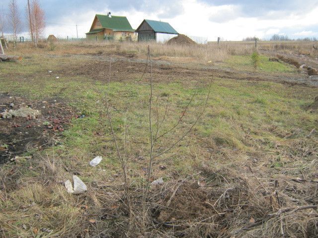 земля р-н Вологодский деревня Болтино фото 4