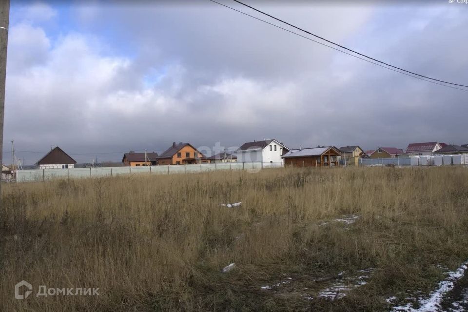 земля р-н Тукаевский д Азьмушкино Республика Татарстан Татарстан, Подсолнухи фото 6