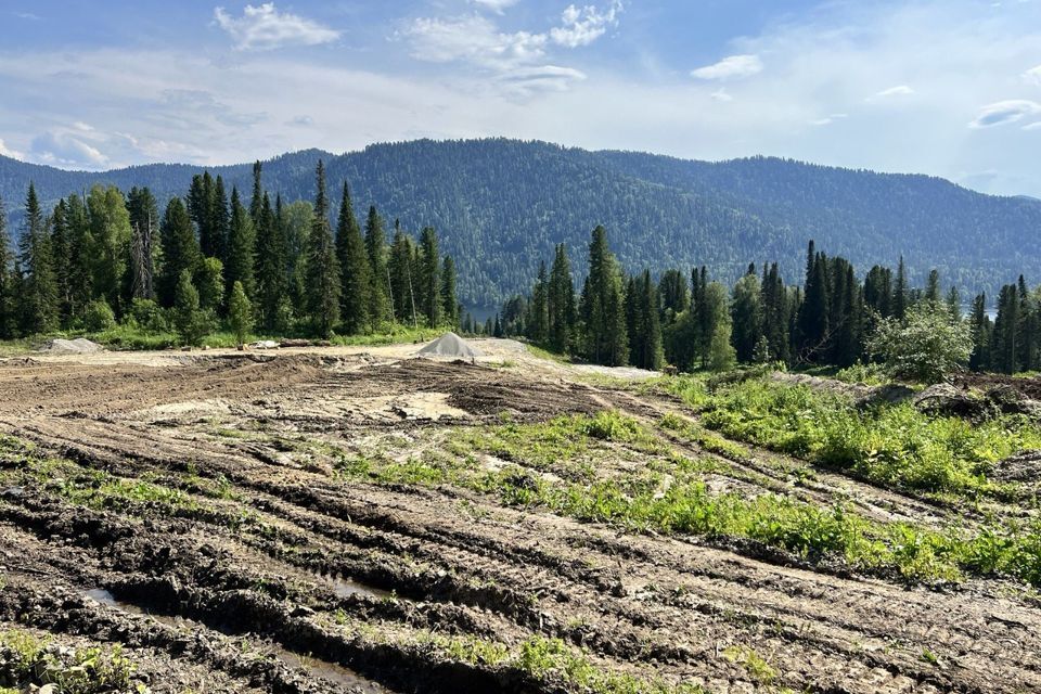 земля р-н Турочакский село Артыбаш фото 5