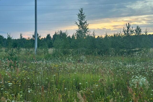 земля Республика Татарстан Татарстан, Казань городской округ фото