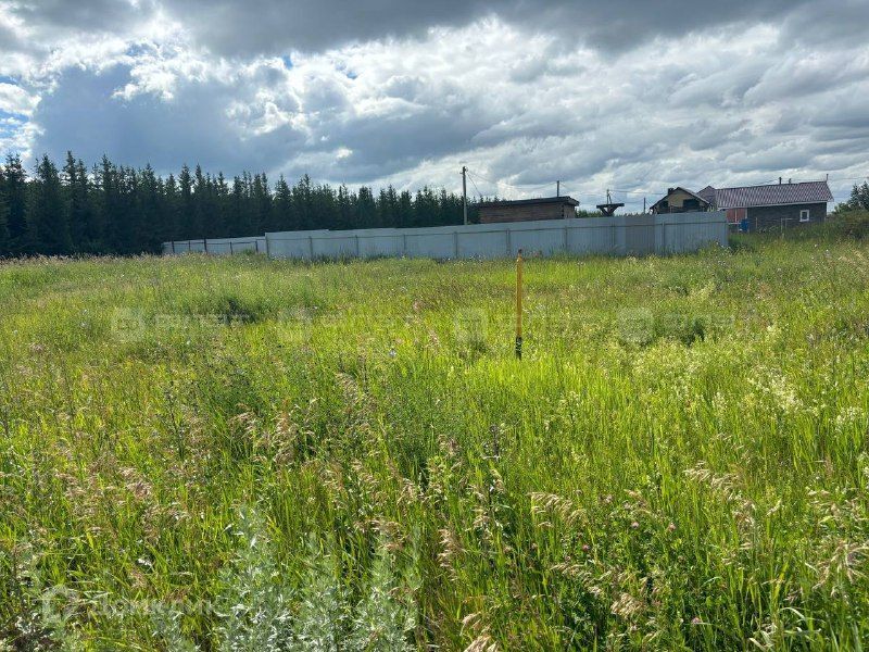 земля р-н Лаишевский Республика Татарстан Татарстан, СНТ Державино фото 3