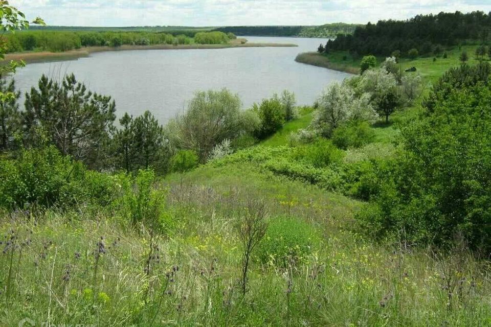 земля р-н Мясниковский село Несветай фото 3