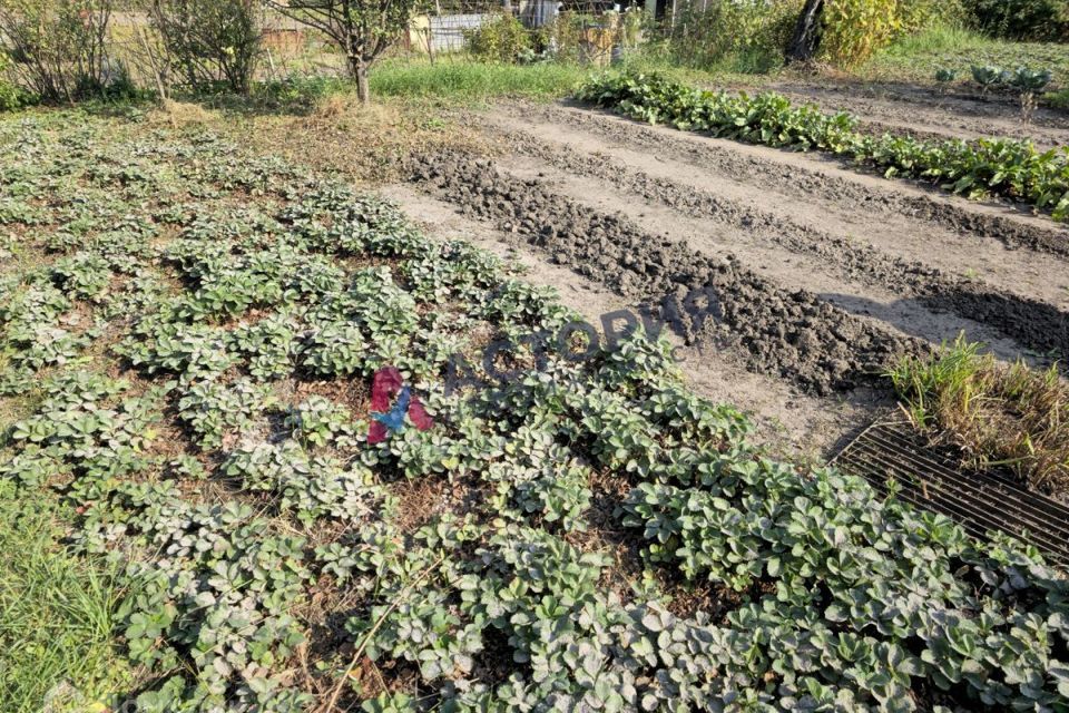 дом Тула городской округ, СНТ Строитель фото 5