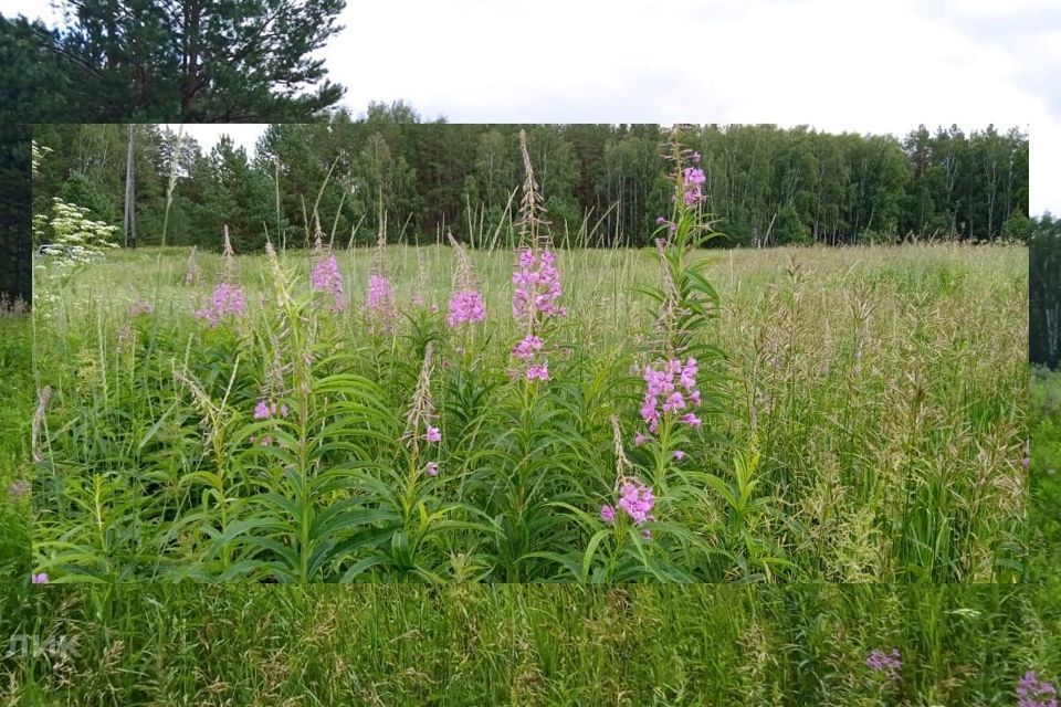 земля р-н Пригородный село Шиловка фото 4