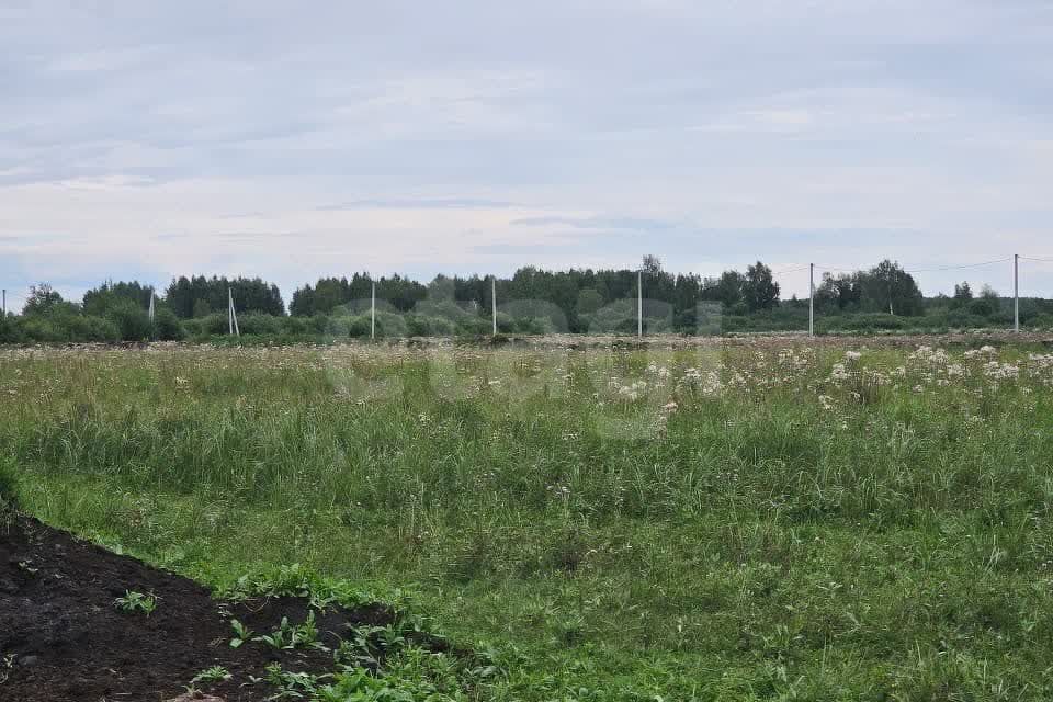 земля р-н Нижнетавдинский село Средние Тарманы фото 4