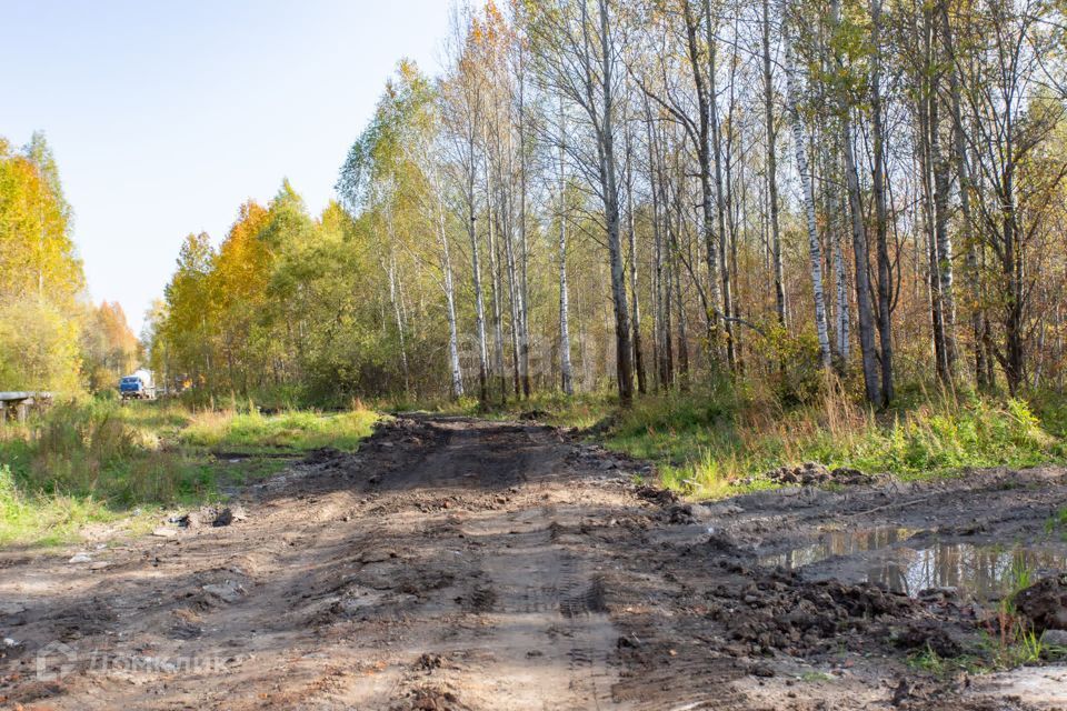 земля г Тобольск Центральная улица, городской округ Тобольск фото 1