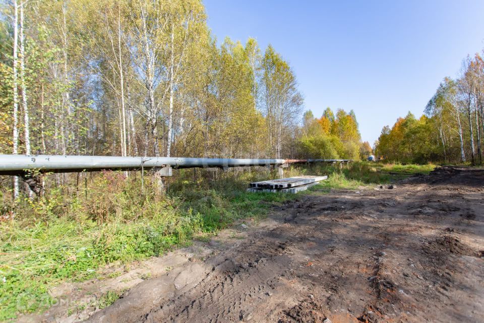 земля г Тобольск Центральная улица, городской округ Тобольск фото 3