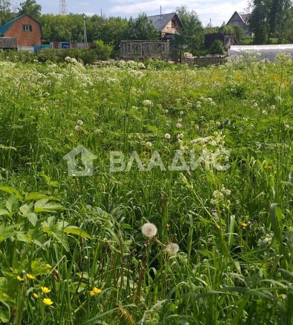 земля р-н Новосибирский село Раздольное фото 2