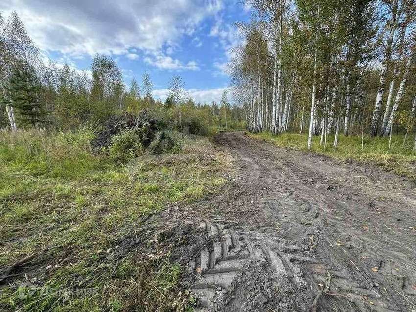 земля г Тюмень мкр Лесной городской округ Тюмень, массив Верхний Бор фото 5