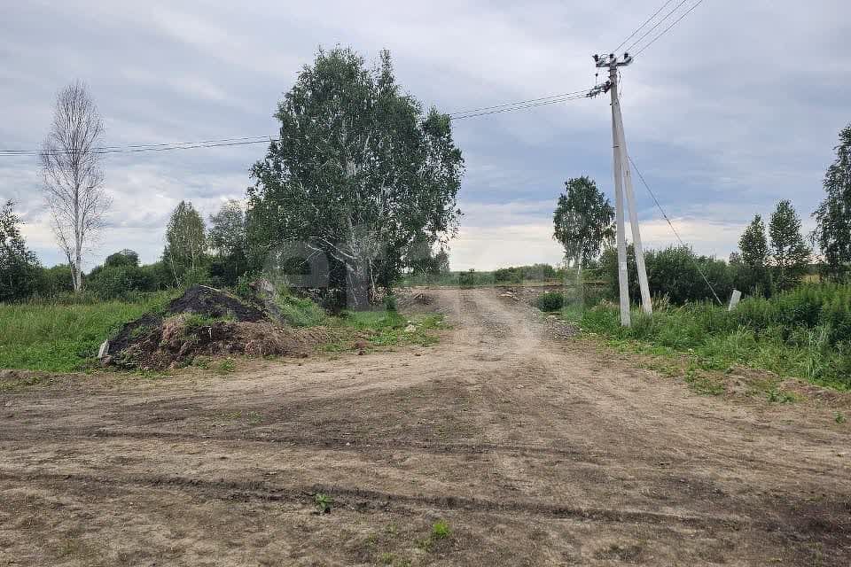 земля р-н Нижнетавдинский село Средние Тарманы фото 6