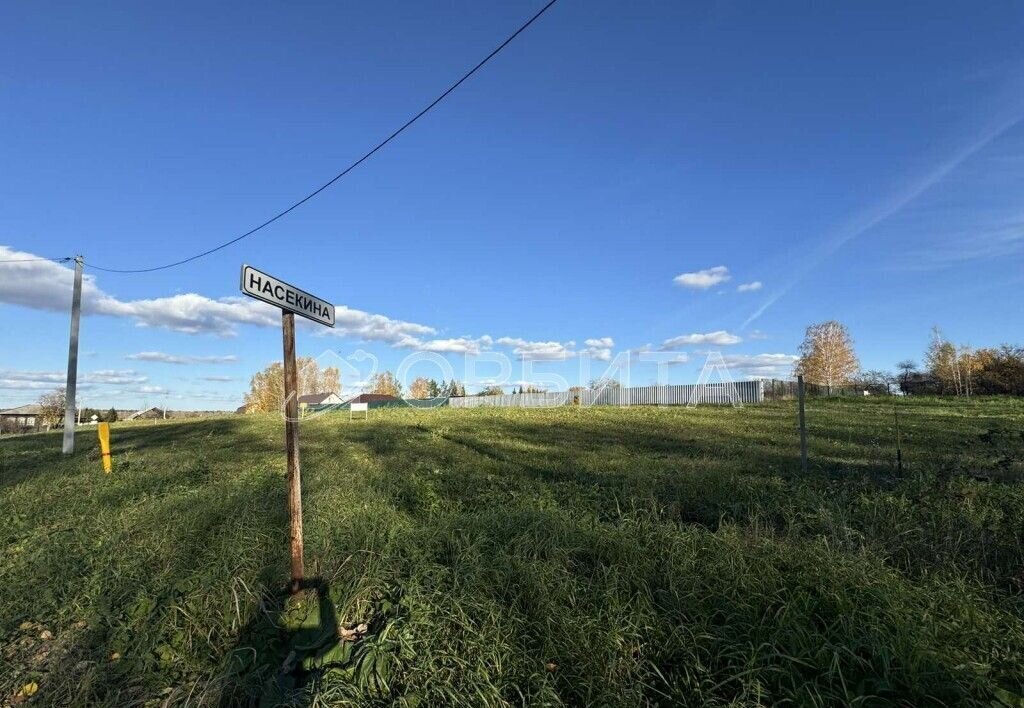 земля р-н Тюменский д Насекина ул Центральная Тюмень фото 2