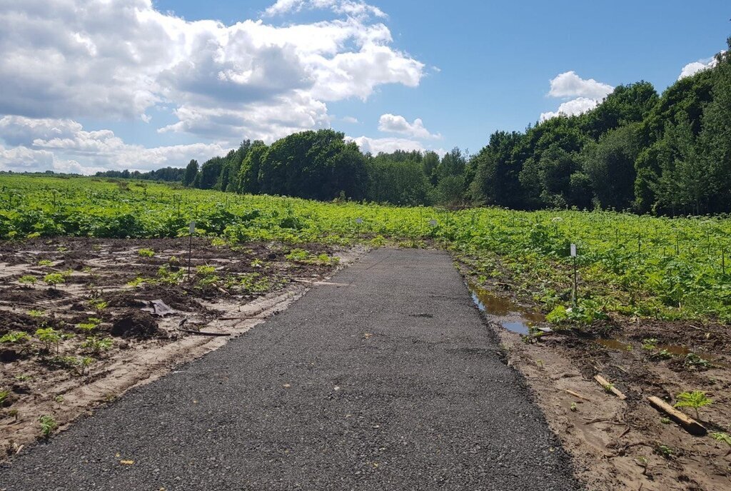 земля городской округ Дмитровский коттеджный поселок «Сорочаны» городской округ Клин фото 9