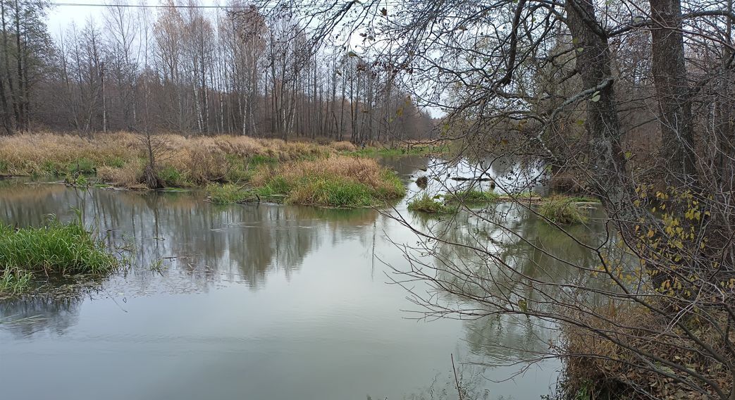 земля городской округ Богородский д Калитино ул Луговая фото 10