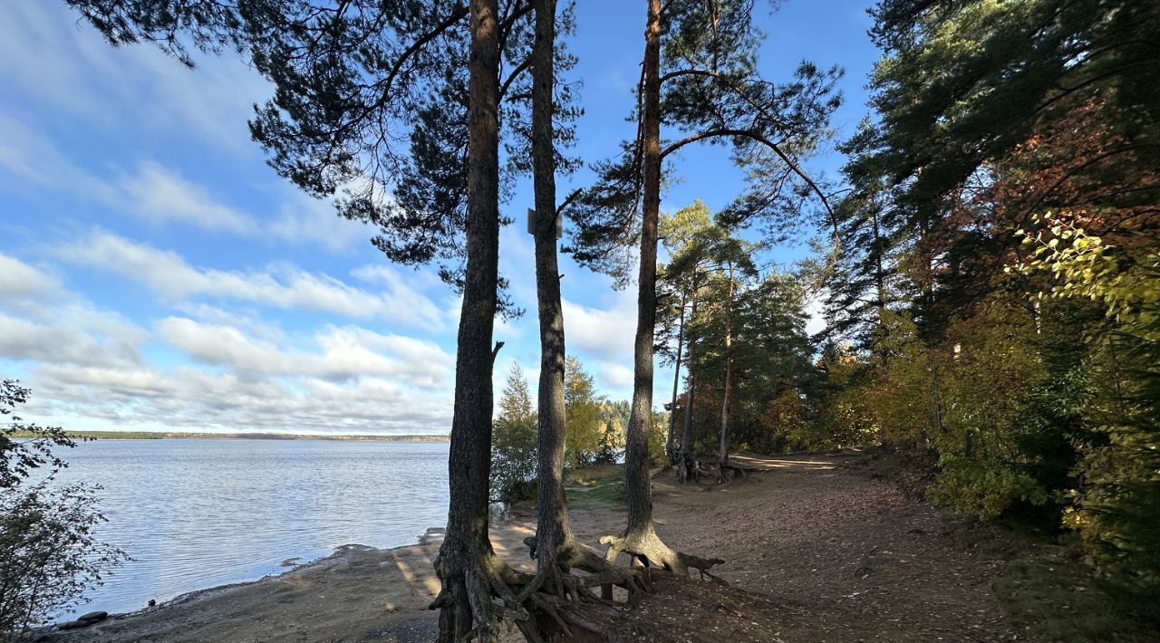 земля р-н Всеволожский Токсовское городское поселение, Токсово городской поселок, Девяткино, ул. Пляжная, 5/2 фото 26