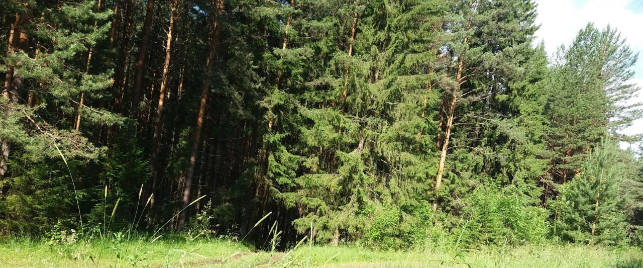 земля г Ревда п Ледянка фото 3