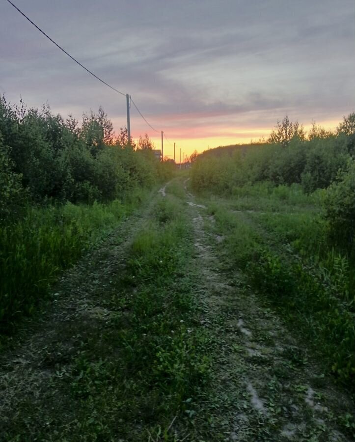 земля городской округ Раменский д Першино 9774 км, 107А, Бронницы, Рязанское шоссе фото 8