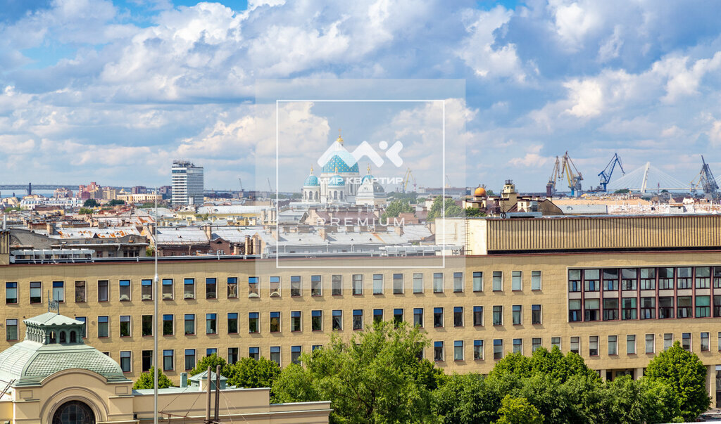 квартира г Санкт-Петербург метро Пушкинская пер Подъездной 12 фото 15