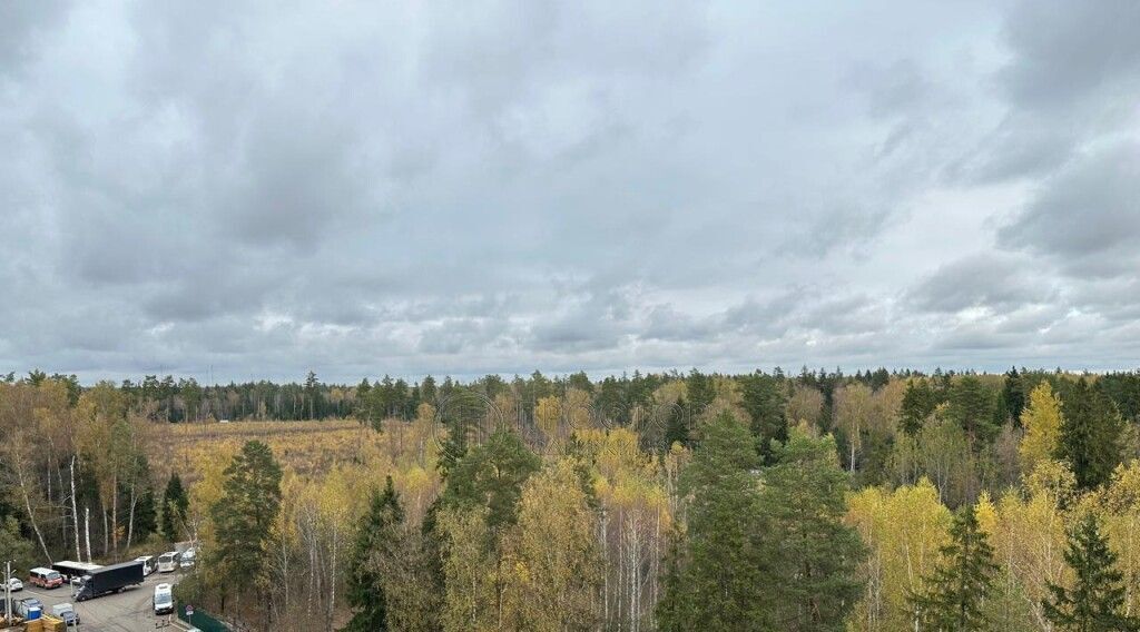 квартира городской округ Солнечногорск д Голубое ул Родниковая 2 Зеленоград — Крюково фото 24