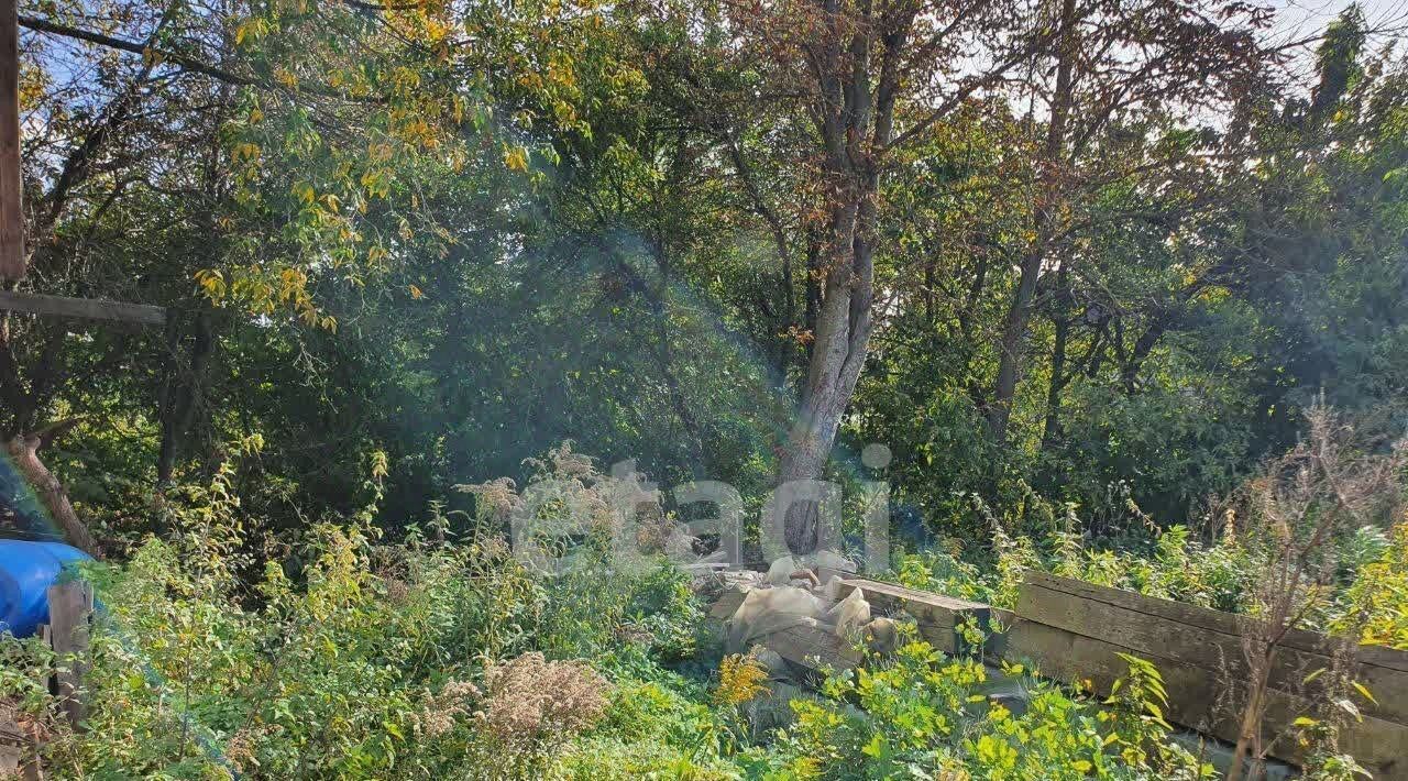 дом г Брянск р-н Советский пер 3-й Карачижский фото 9