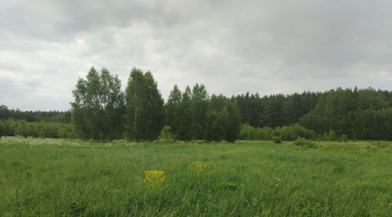 земля р-н Богородский г Богородск фото 14