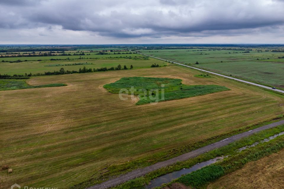 земля р-н Хабаровский село Тополево фото 6