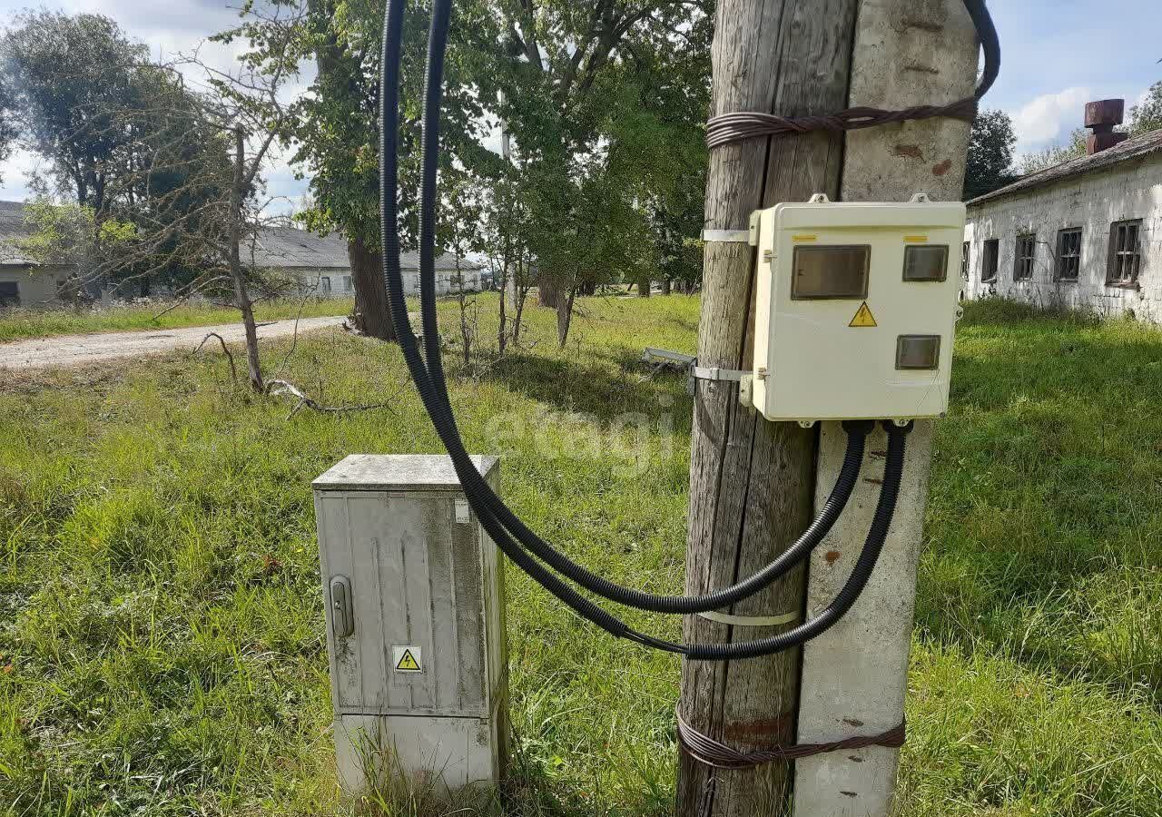 свободного назначения р-н Багратионовский п Дубки 5, Багратионовск фото 30