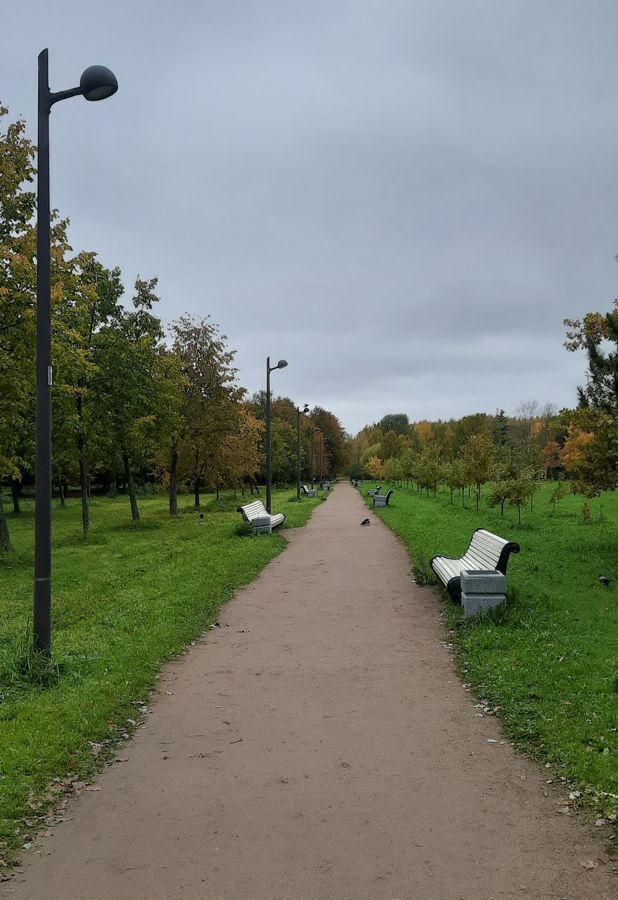 квартира г Санкт-Петербург метро Проспект Ветеранов пр-кт Кузнецова 29к/2 фото 28