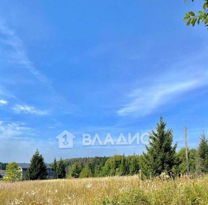 дом городской округ Дмитровский Аусбург дп, туп. Нижний фото 20