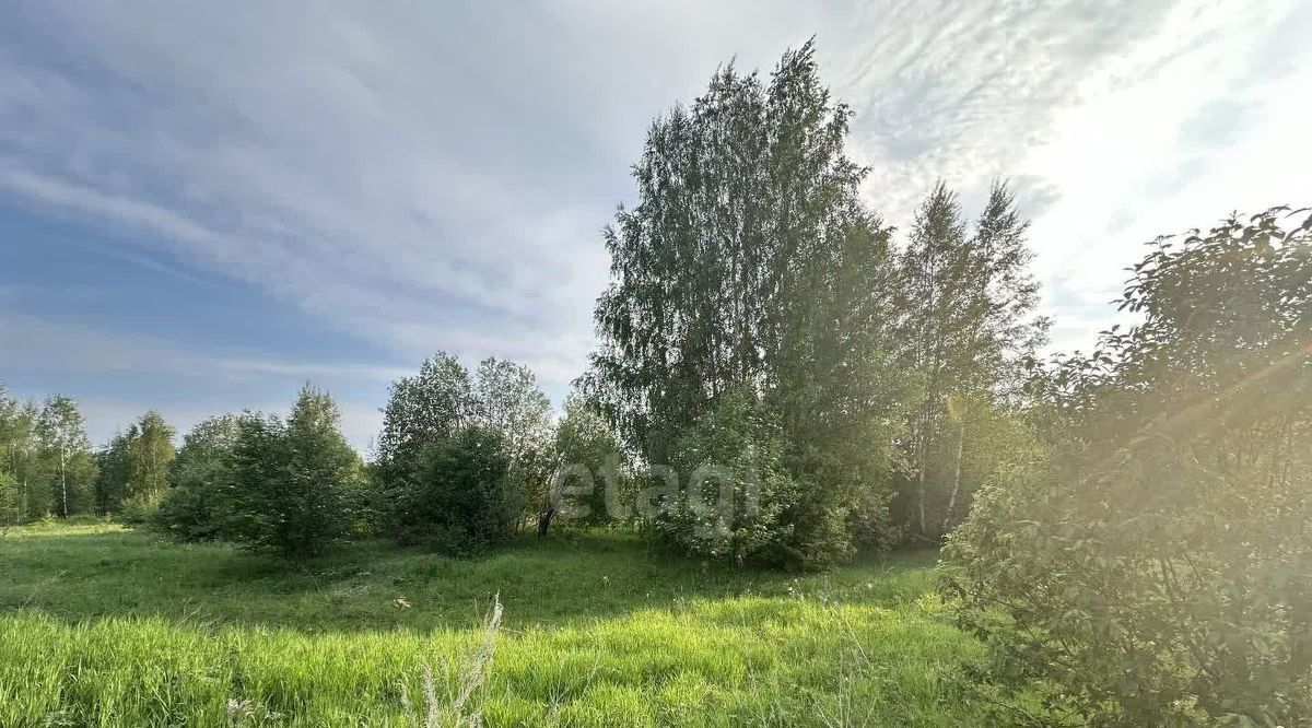 земля г Кострома пр-д Кружевной фото 4