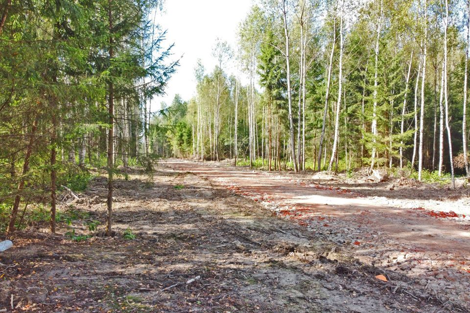 земля г Зеленоград ул Каменка Московская область, Дмитровский городской округ фото 2