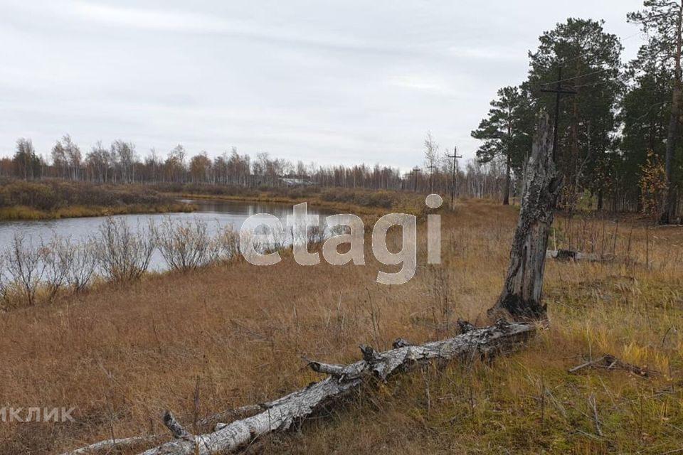 земля р-н Сургутский фото 5