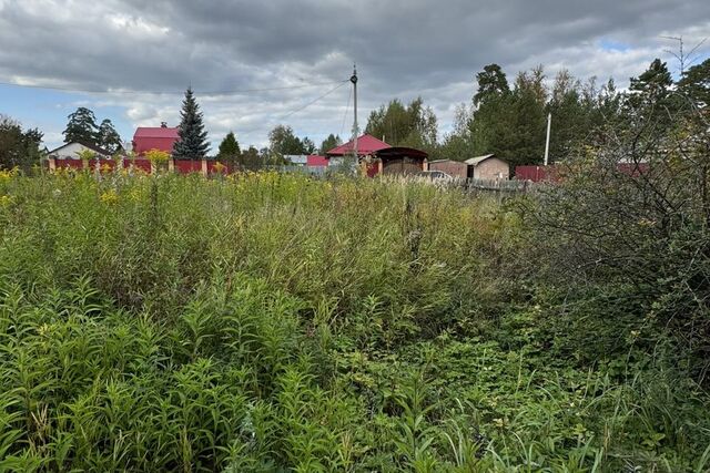 снт Зеленая Роща городской округ Тюмень, 10-я улица фото