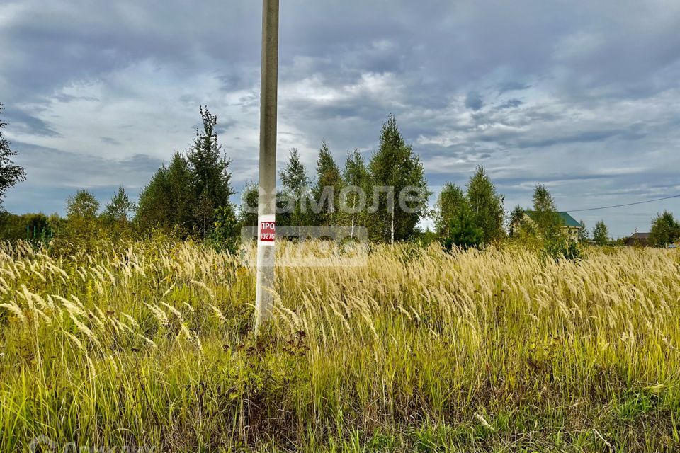 земля городской округ Йошкар-Ола, Шоя-Кузнецово фото 2