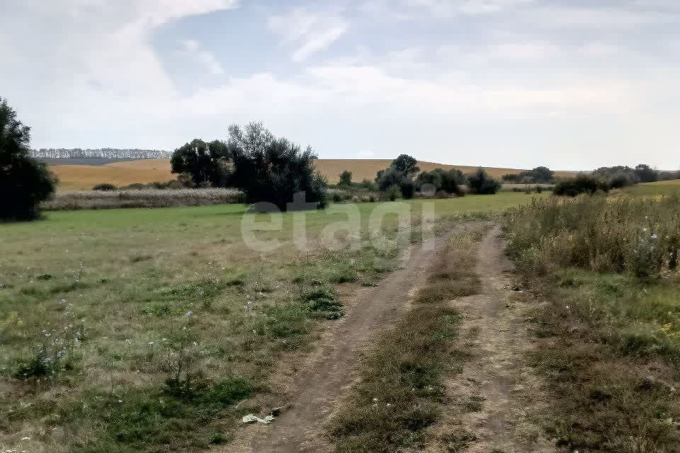 земля р-н Новооскольский с Яковлевка ул Центральная фото 3