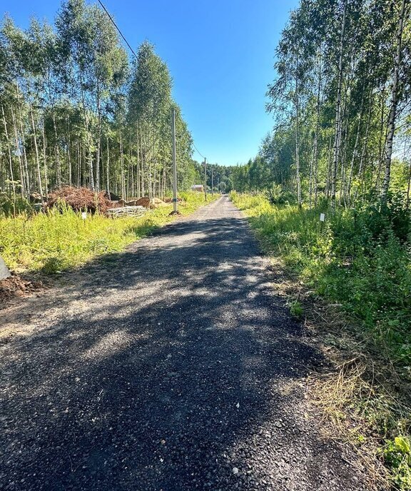 земля городской округ Дмитровский п Редькино фото 14