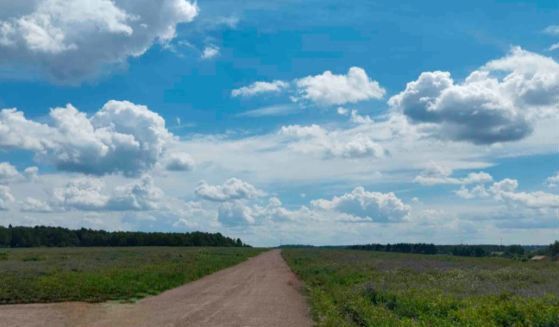 земля городской округ Истра д Духанино тер. ТСН Новое Духанино 9756 км, Истра, Пятницкое шоссе фото 7