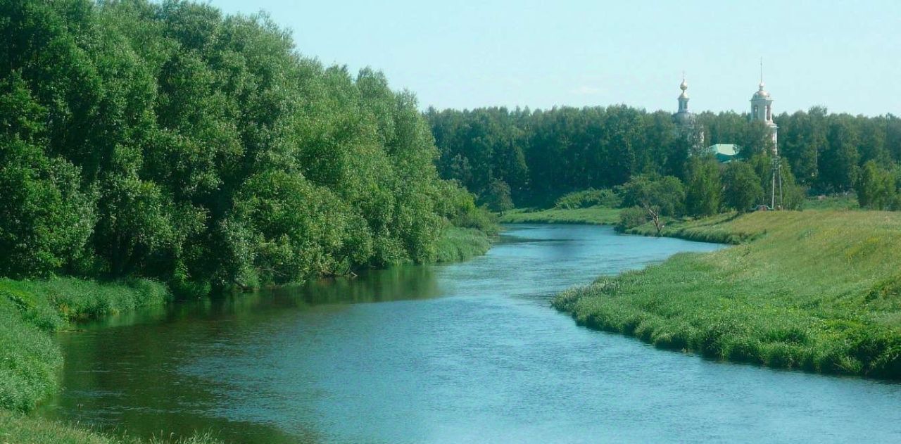 земля городской округ Богородский Богородск Форест кп фото 2