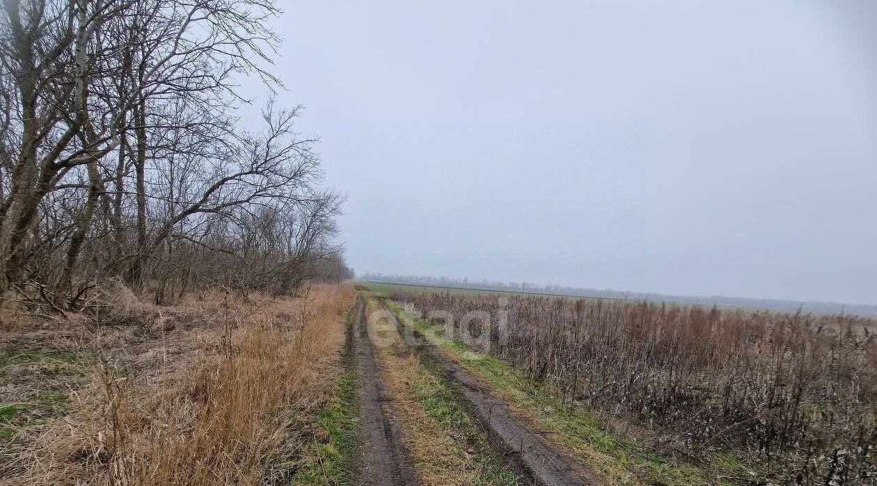 земля р-н Анапский г Анапа ст-ца Благовещенская фото 2