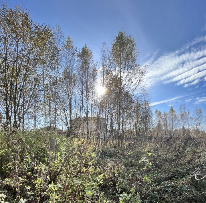 земля городской округ Волоколамский Вернисаж кп, 48 фото 2