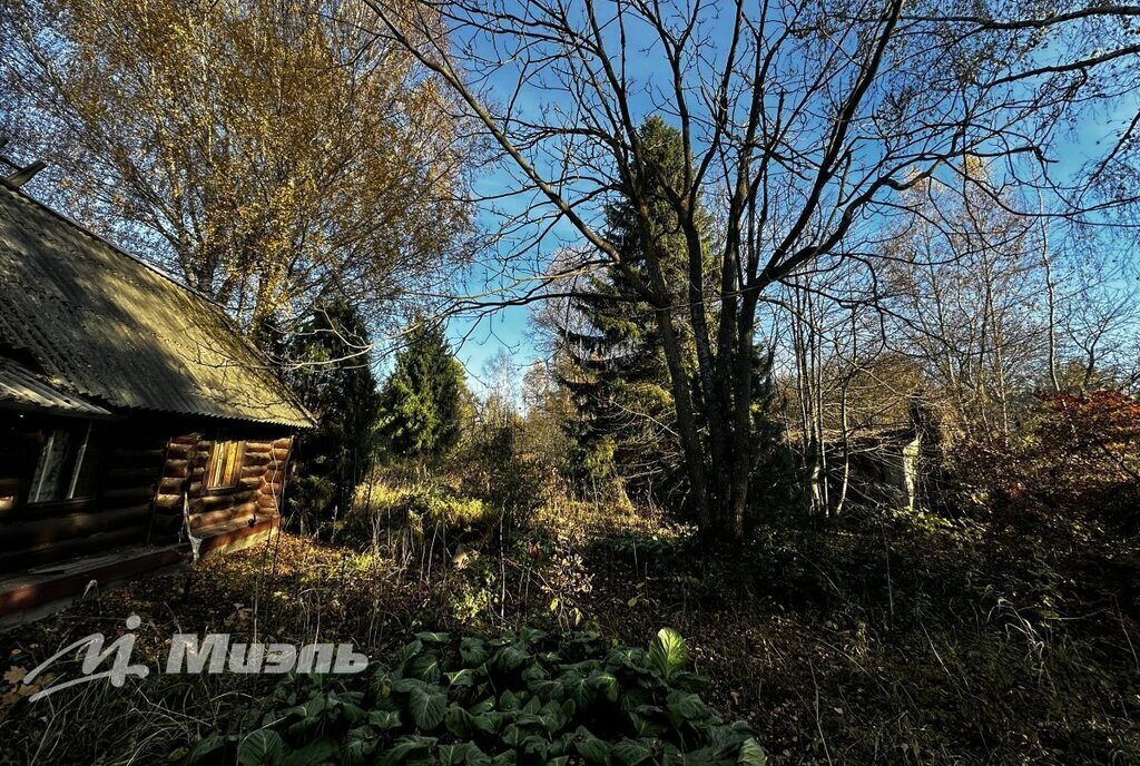 земля городской округ Мытищи д Пчелка 11, Лобня фото 9