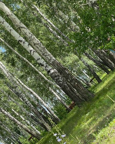 Берёзовский сельсовет, ТСН Тандем, ул. Мосихинский Ручей, Кольцово фото