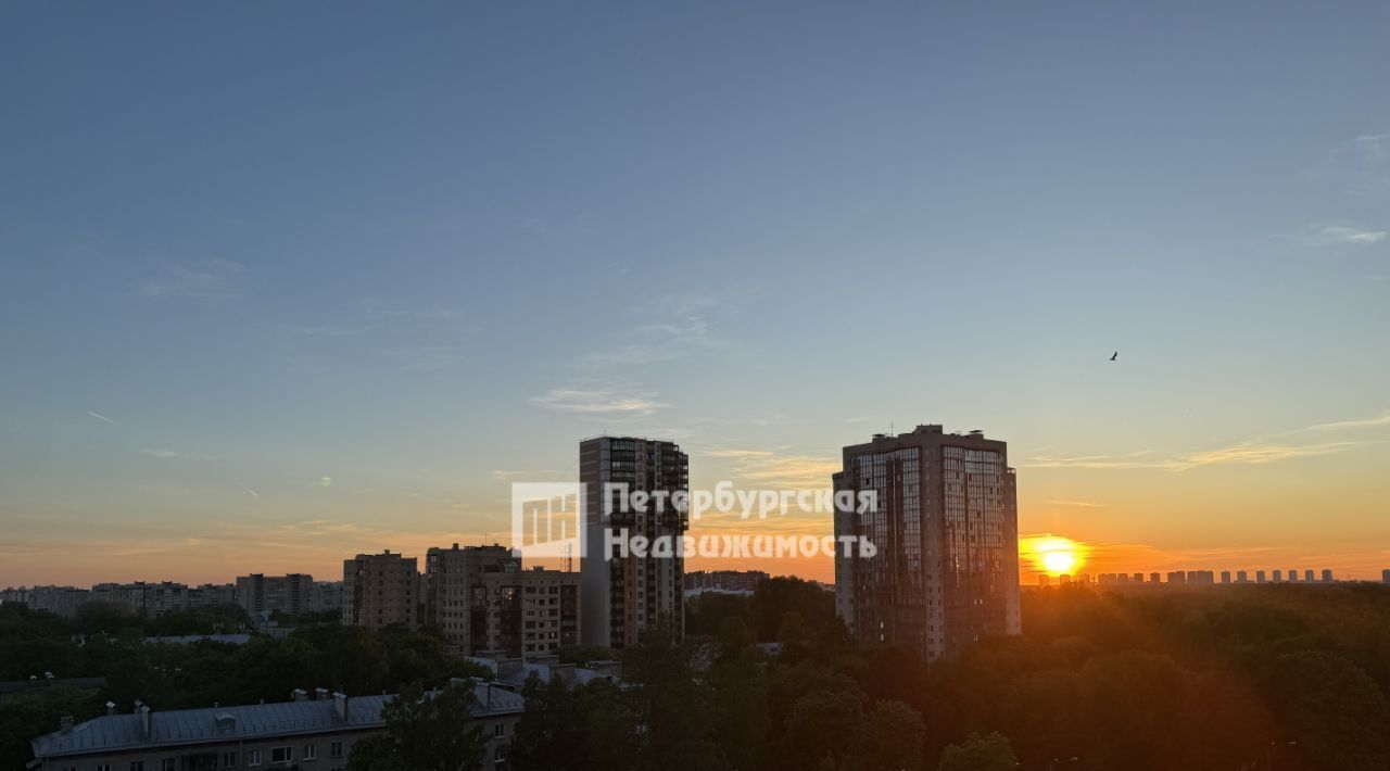 квартира г Санкт-Петербург метро Удельная пр-кт Энгельса 97 округ Светлановское фото 10