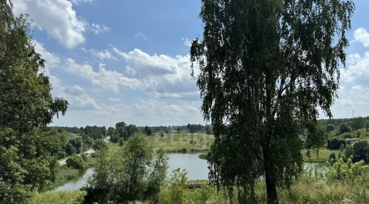 дом р-н Выгоничский с Городец ул Советская Выгоничское городское поселение фото 8