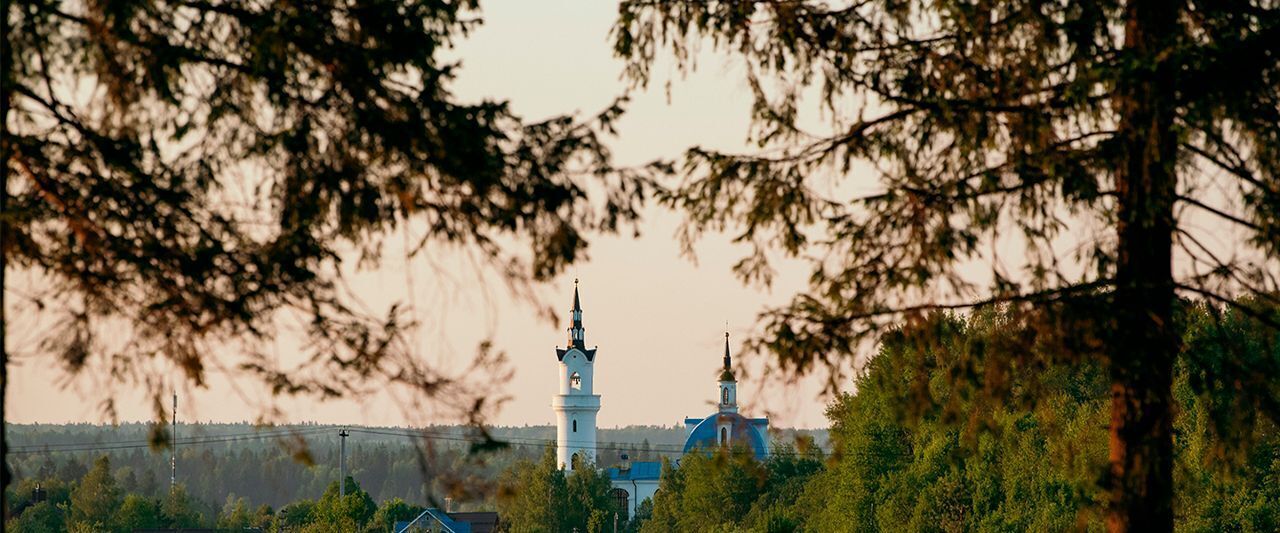 земля городской округ Дмитровский д Матвейково фото 30