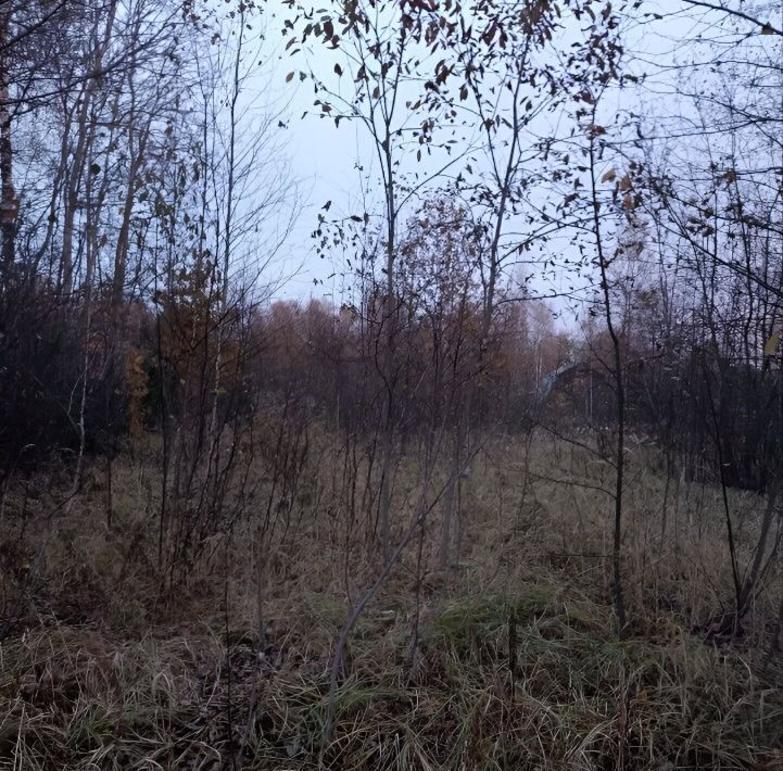 земля городской округ Орехово-Зуевский д Большая Дубна ДНТ Старт-2 фото 2