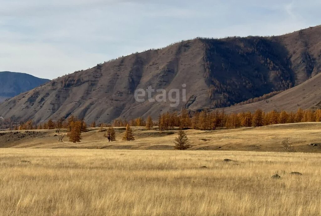 земля р-н Кош-Агачский с Беляши фото 1