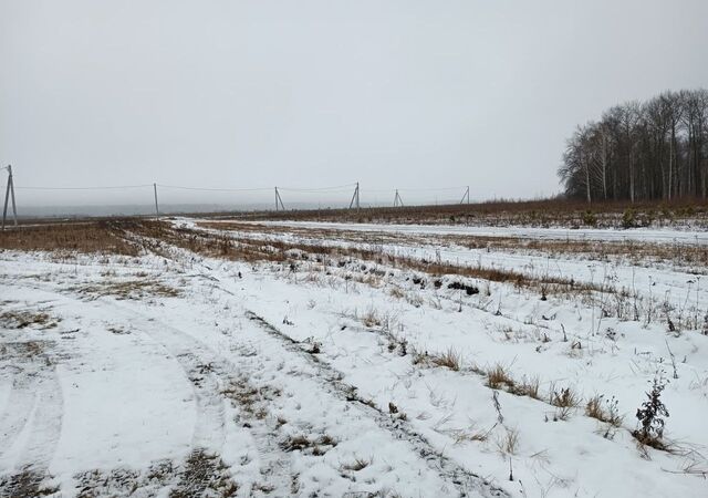 р-н Центральный снт Надежда-2 ул Зеленая фото