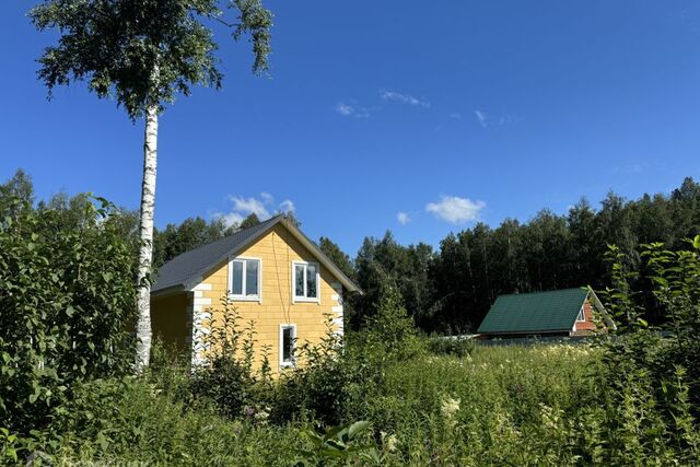 Екатеринбург городской округ, Чкаловский фото